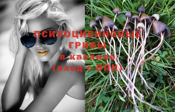 соль курить ск Богданович